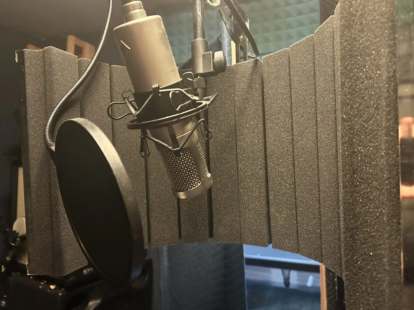 Studio Projects C1