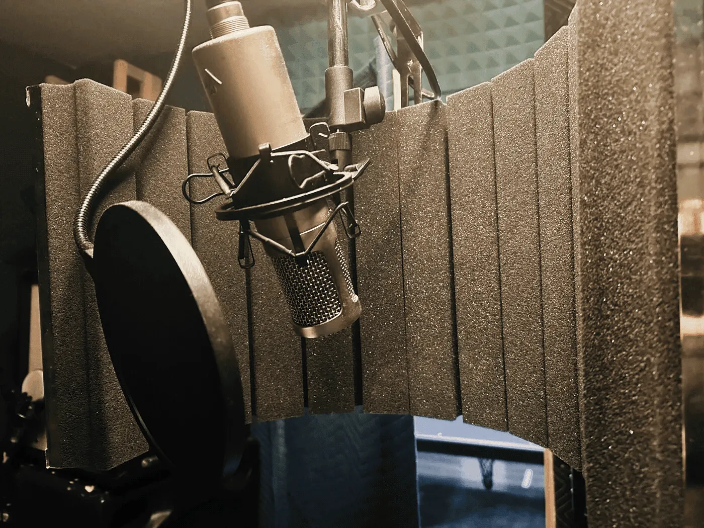 Studio Projects C1